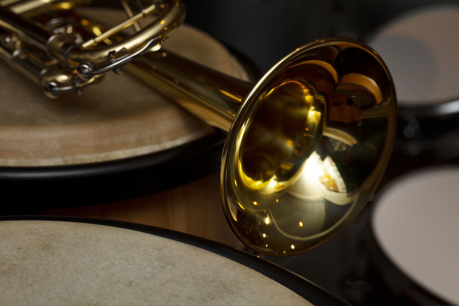 Music Instrument Store